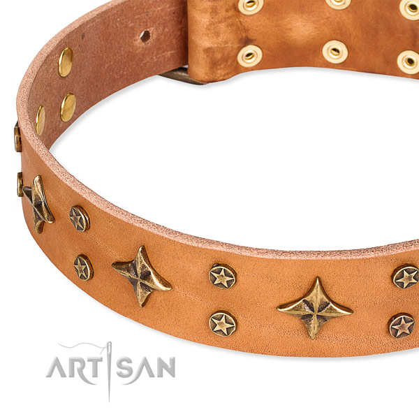 Easy to fit tan leather dog collar