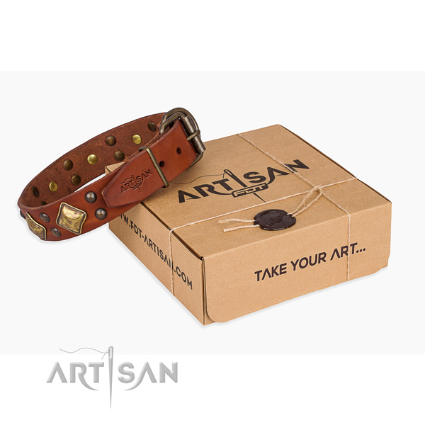 Tan leather dog collar with square and round decorations