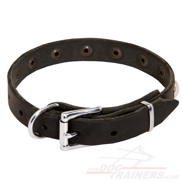 Leather Collar with Reliable Buckle