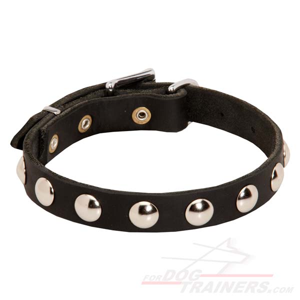 Fashion Leather Collar for Dog Walking and Training