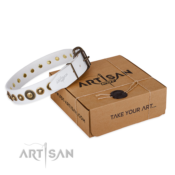 White leather dog collar with fashionable studs