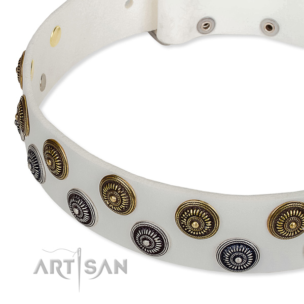 White leather dog collar with rust-proof studs