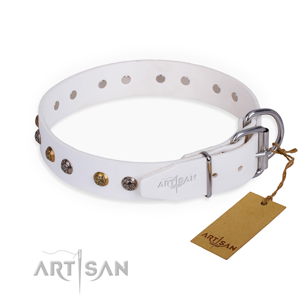 White leather dog collar with chrome plated fittings