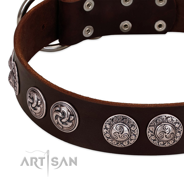 Brown leather dog collar with engraved brooches
