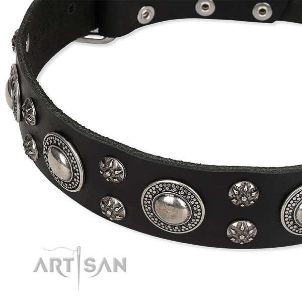 Elegant black leather dog collar with decorations