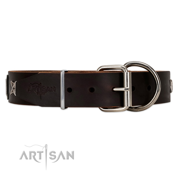 Brown leather dog collar with chrome plated
hardware