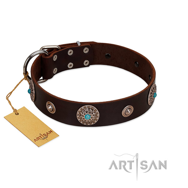 Stylish brown leather dog collar of premium quality