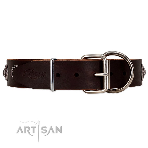 Brown leather dog collar equipped with reliable fastener