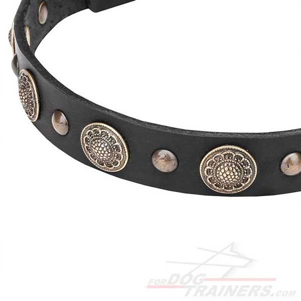 Rust-resistant fittings on leather dog collar