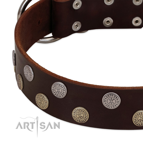 FDT Artisan dog collar with silver-like decoration