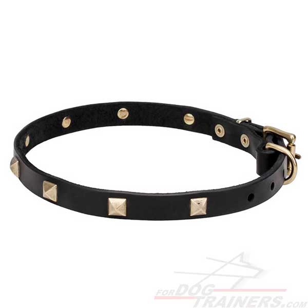Rust-resistant hardware for leather dog collar