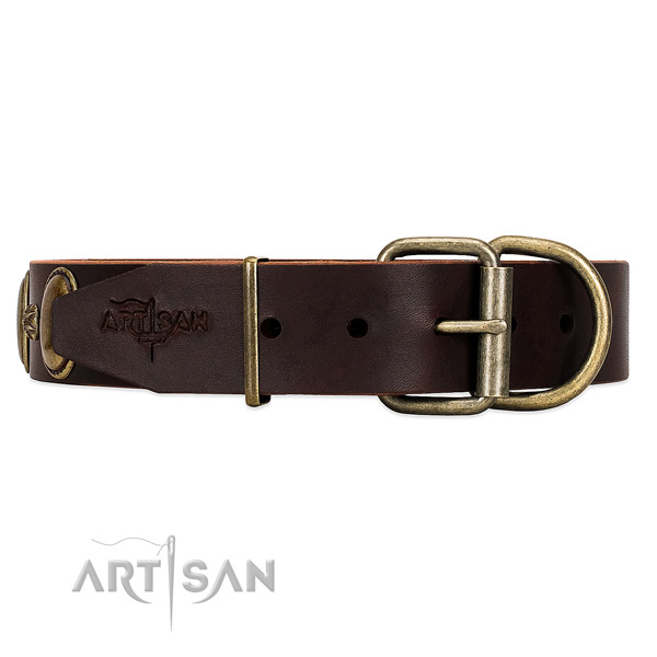 Brown Dog Collar with Rust-resistant Hardware for Secure Control