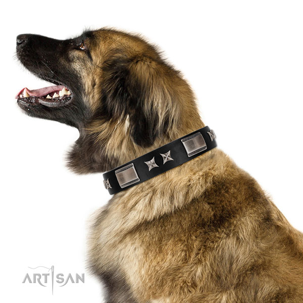 Adjustable leather Leonberger collar for daily walking