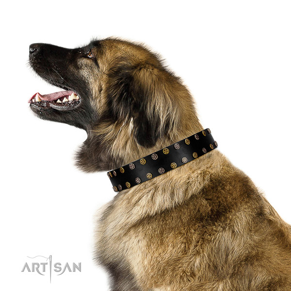 Exquisite Design Leather Leonberger Collar with Stars