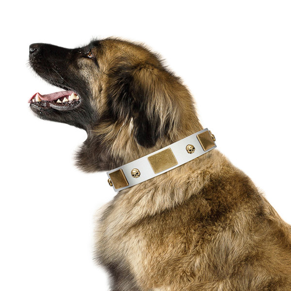 White Leather Leonberger Collar with Handset Plates and Skulls