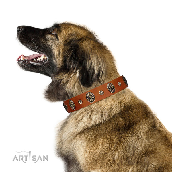 Adjustable Leonberger Artisan leather collar for
comfortable wear