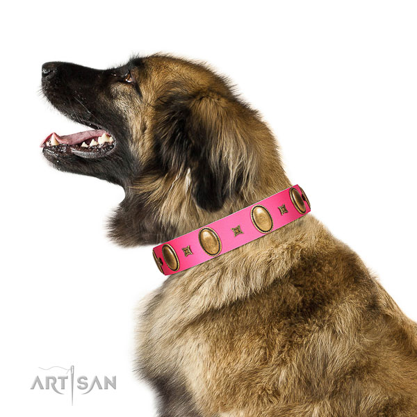 Pink leather Leonberger collar with chic decorations