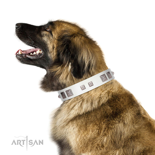 Extraordinary walking white leather Leonberger collar
with
chic decorations