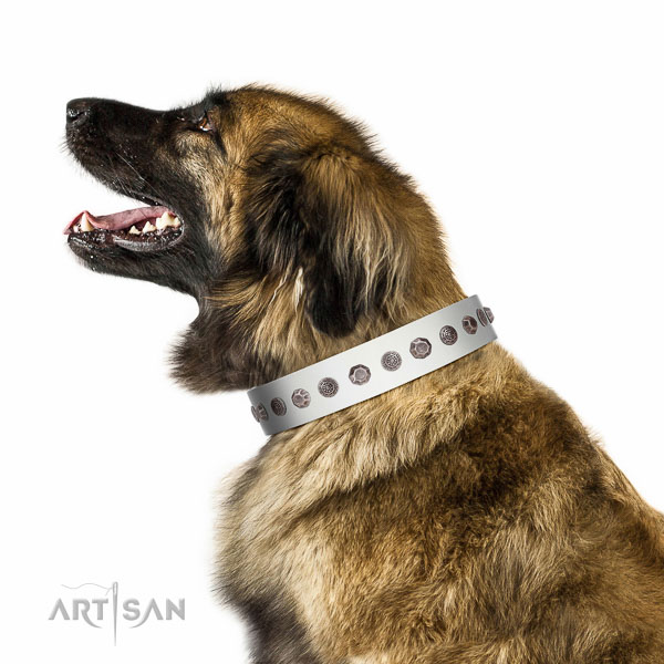 Fabulous walking white leather Leonberger collar with
chic decorations