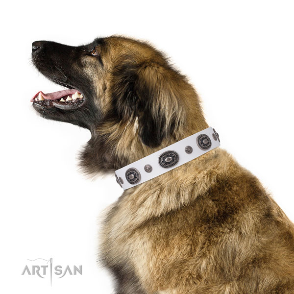 Leonberger designer natural genuine leather dog collar with decorations