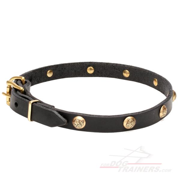 Dog collar made of genuine leather