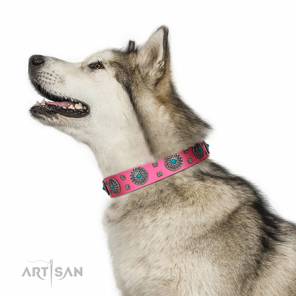 Everyday walking pink leather Malamute collar with
luxury decorations