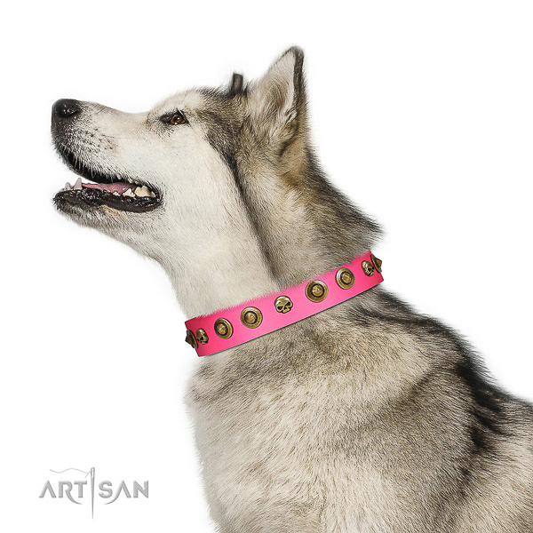 Totally safe Malamute Artisan pink leather collar
