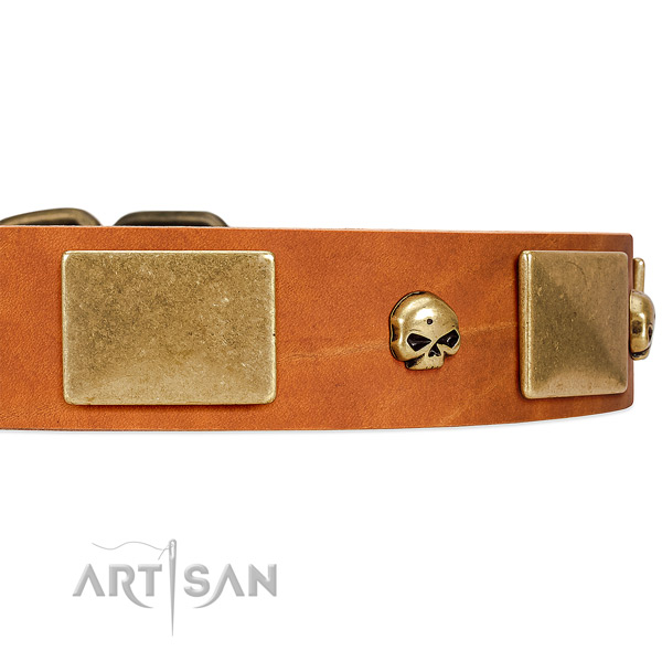 Premium Quality Leather Dog Collar with Handset Skulls
and Massive Plates
