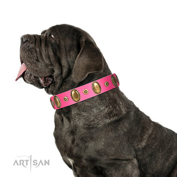 Bright Pink Leather Mastino Napoletano Collar Is a
Tremendous Accessory