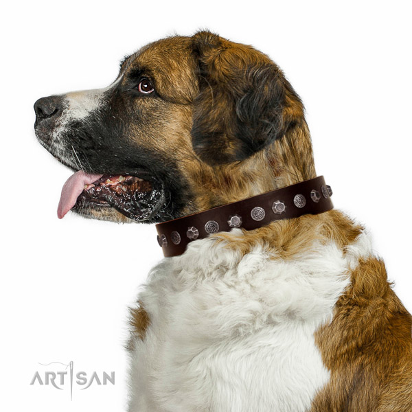 Walking top-notch quality walking leather Moscow Watchdog
collar