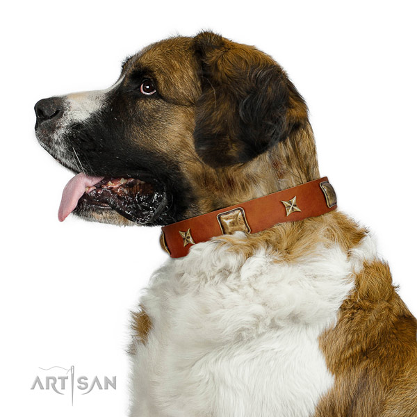 Wonderful Artisan leather Moscow Watchdog collar for
better control