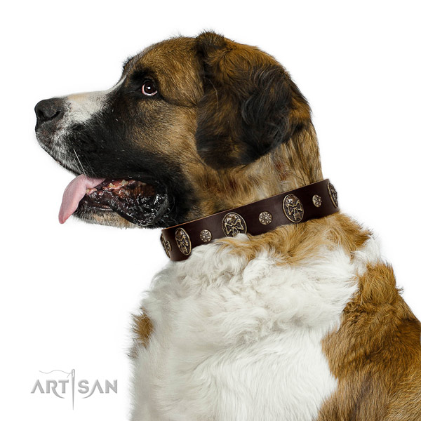Premium quality Moscow Watchdog Artisan leather collar
for stylish walking