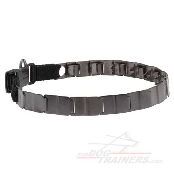 Stainless steel pinch collar for your dog