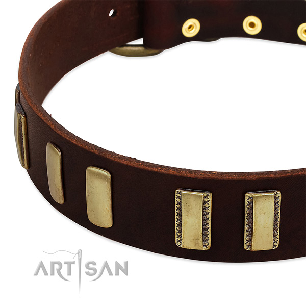Leather Dog Collar Decorated with Old Bronze-Like Plates