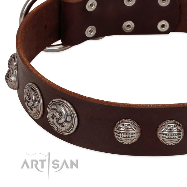 Brown leather dog collar with riveted ornate conchos