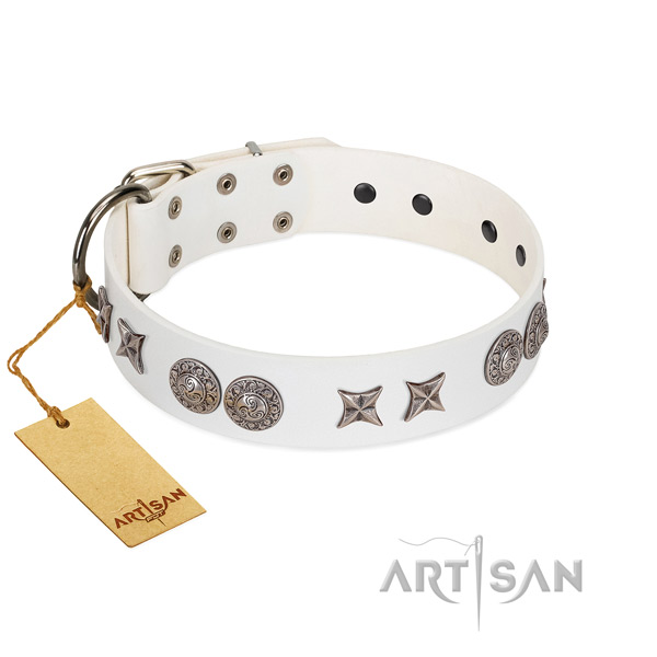 Decorated black leather dog collar for everyday
activities