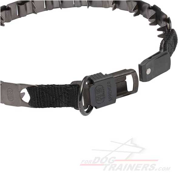 Dog pinch collar with D-ring for leash attachment
