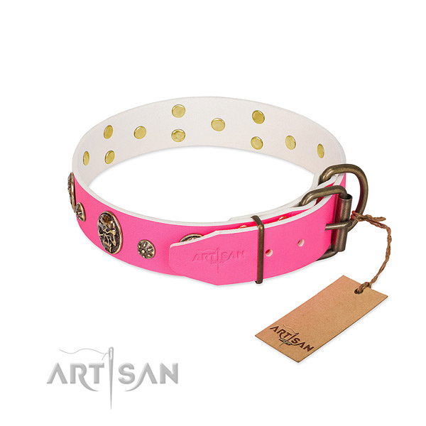 Selected Leather Dog Collar for Regular Wear