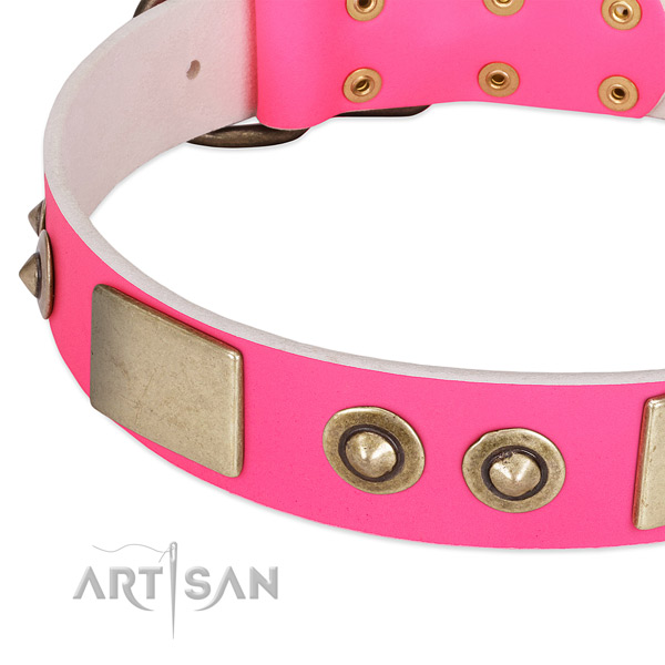 Leather Dog Collar with Stunning Design