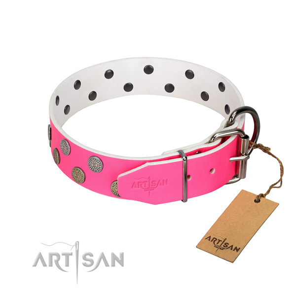 Studded leather dog collar with silver-like plated
fittings