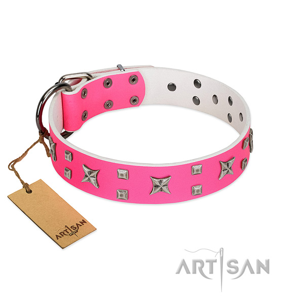 Ideal FDT Artisan leather dog collar for comfortable
wear