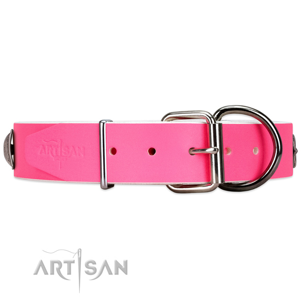 Studded leather dog collar with super reliable buckle