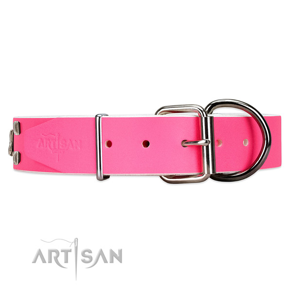 Stylish leather dog collar with silver-like buckle