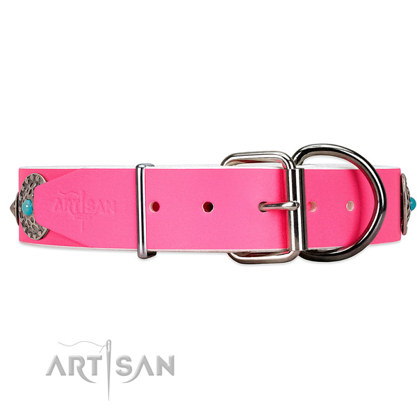 Elegant dog collar with chrome-plated hardware