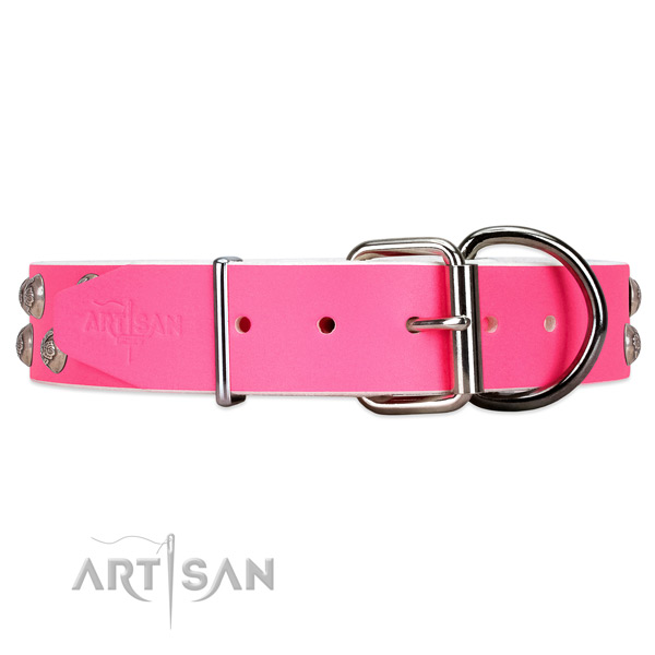 Modern leather dog collar with silver-like hardware