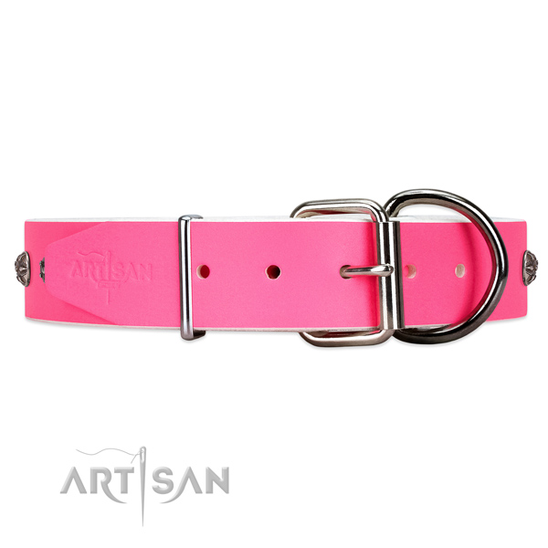 Leather dog collar with silve-like hardware