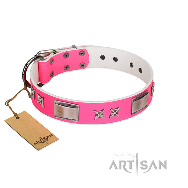 Walking genuine leather dog collar with stars and plates