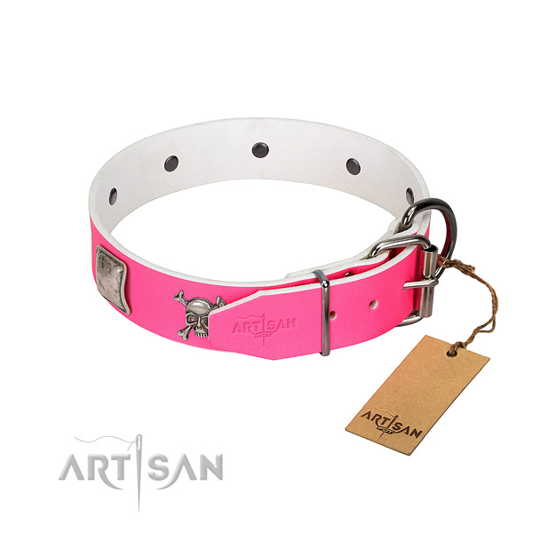Comfortable leather dog collar with with polished edges