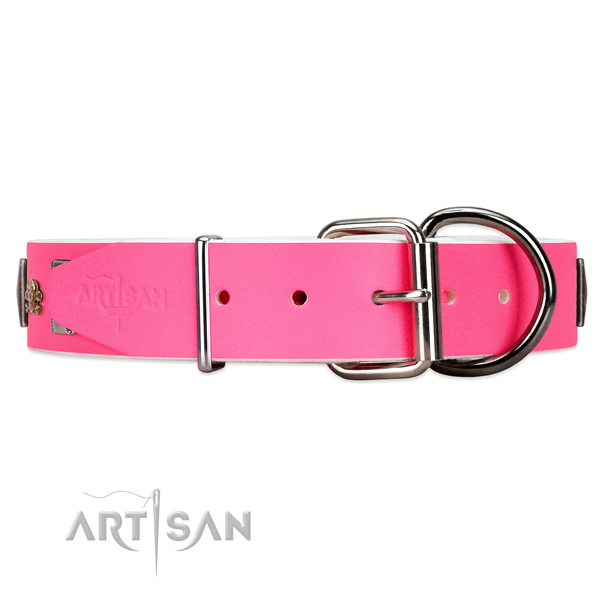 Studded leather dog collar with super reliable buckle