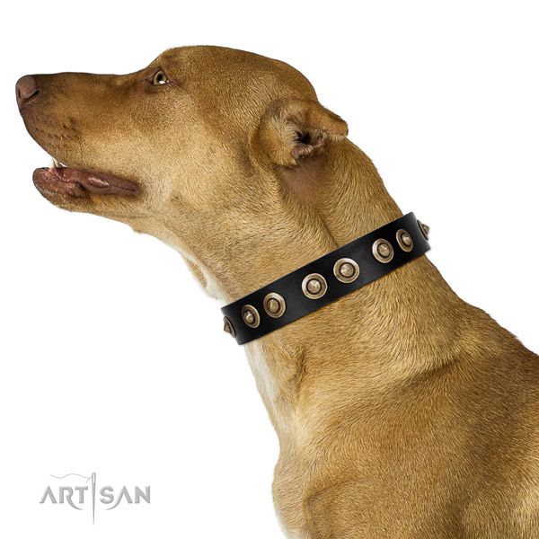 Decorated Black Leather Cane Corso Collar with Durable Old-bronze Plated Hardware